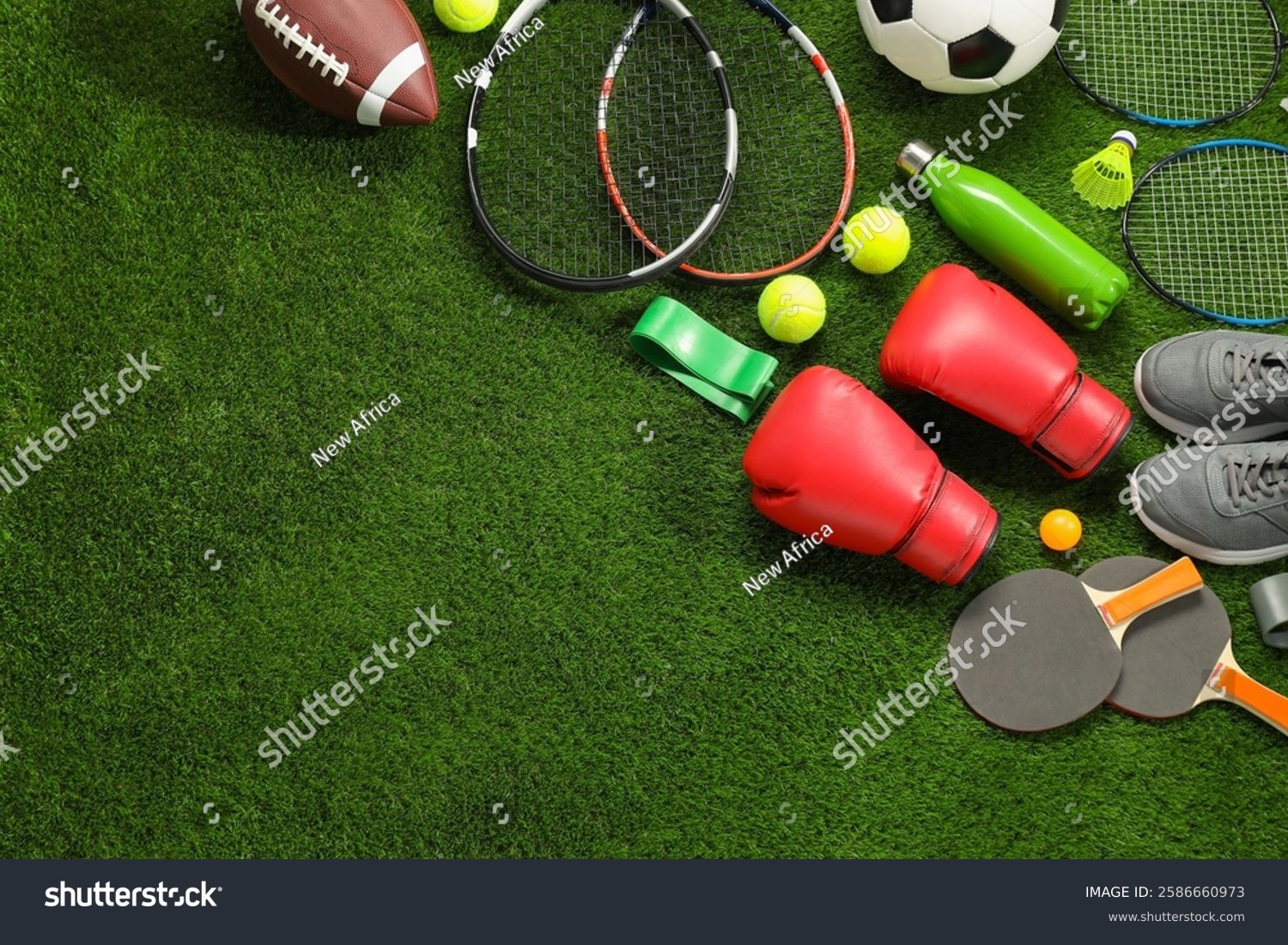 迪纳塔莱：斯帕莱蒂的进攻体系让前锋受益，相信球迷会喜欢他