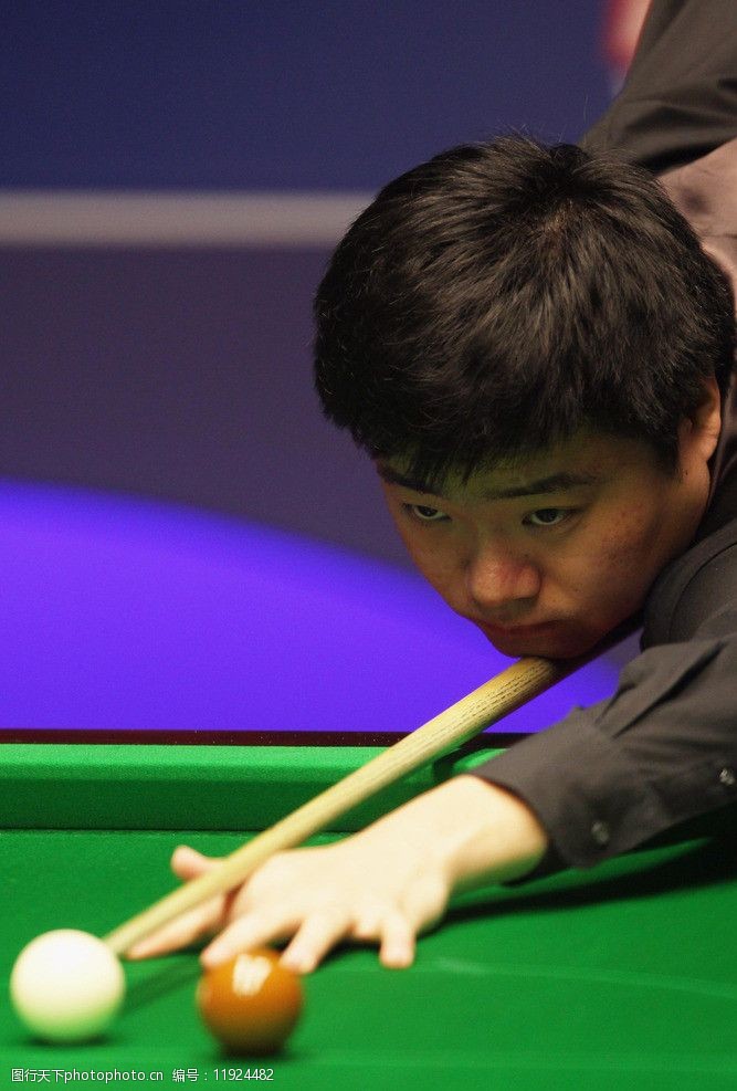 的职业生涯 的职业生涯