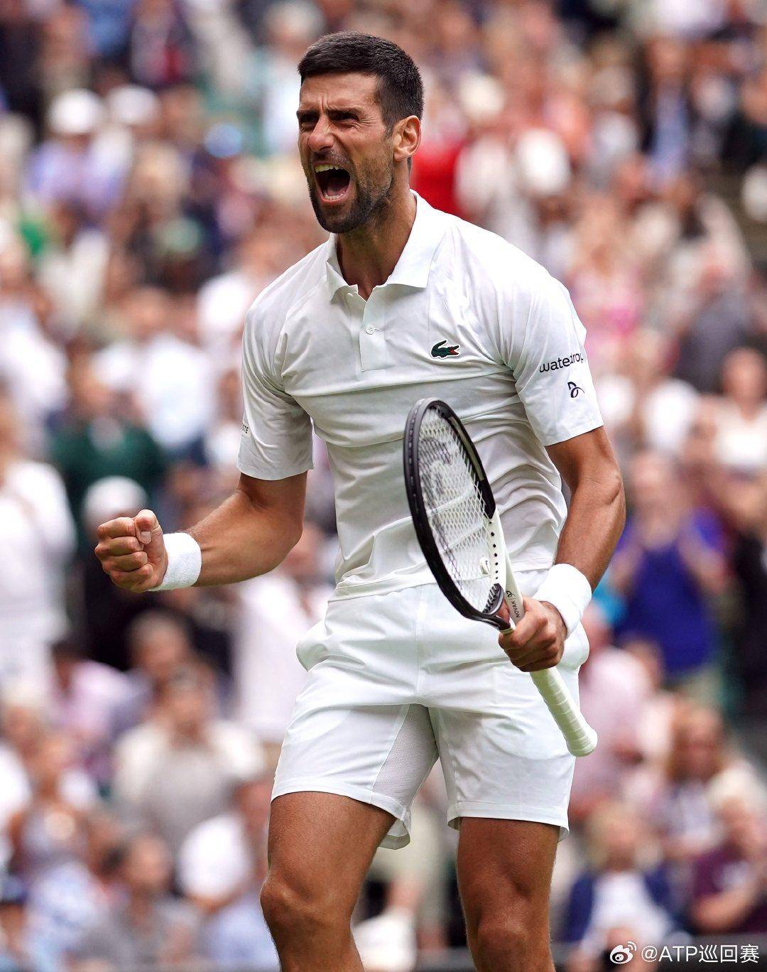 运动员的竞 运动员的竞