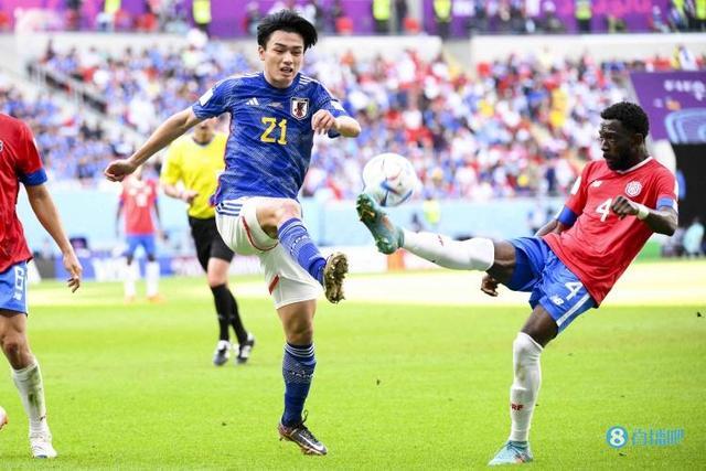 本届比赛的 本届比赛的