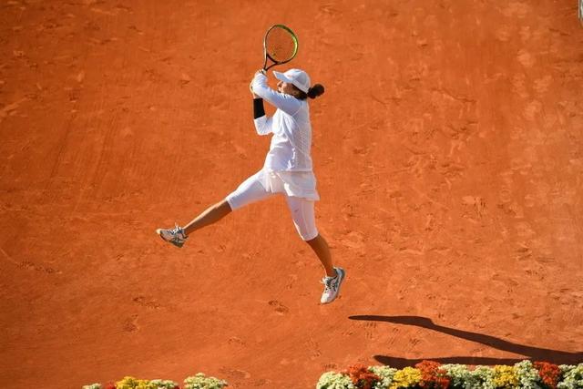 质和不懈努 质和不懈努