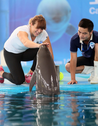 防守反击战 防守反击战